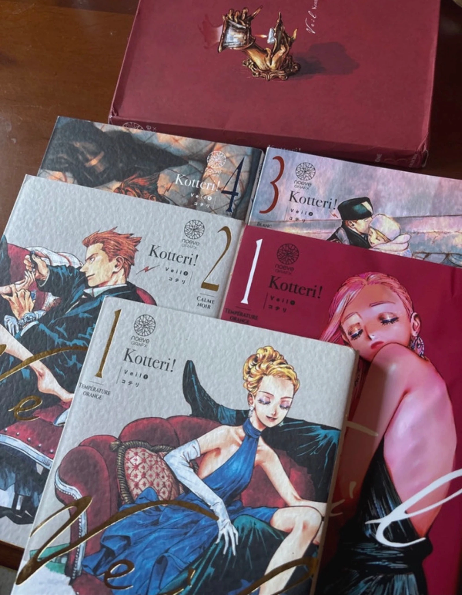 Kotteri veil 1-4